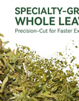Longjing (Dragon Well) Green Tea | UFO Drip Tea