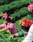 Yunnan Beauty Black Tea