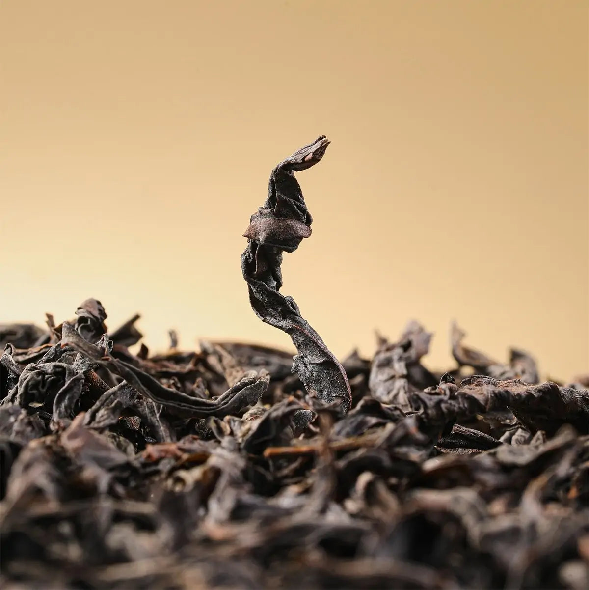 Oolong Tea