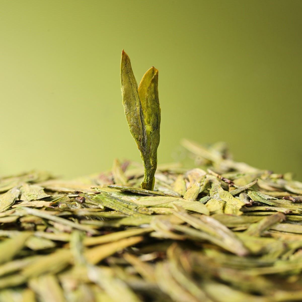 Green Tea