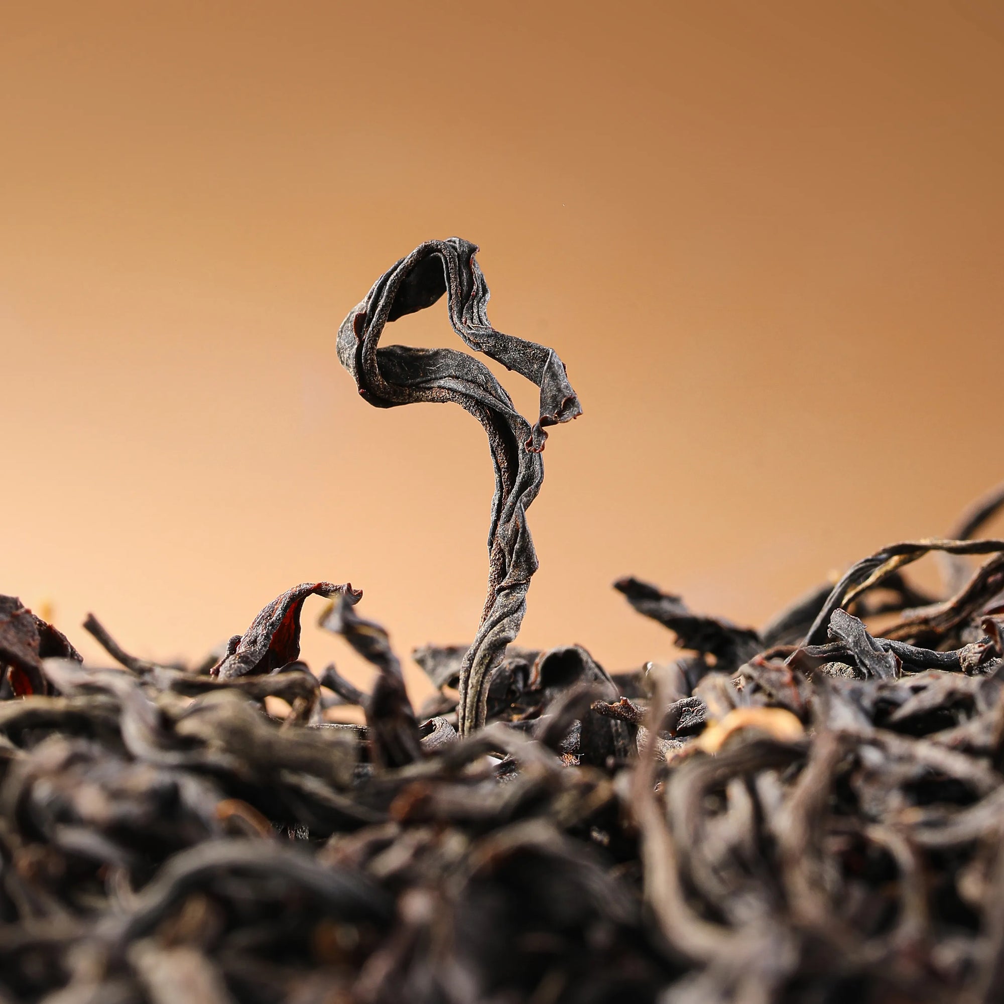 Black Tea