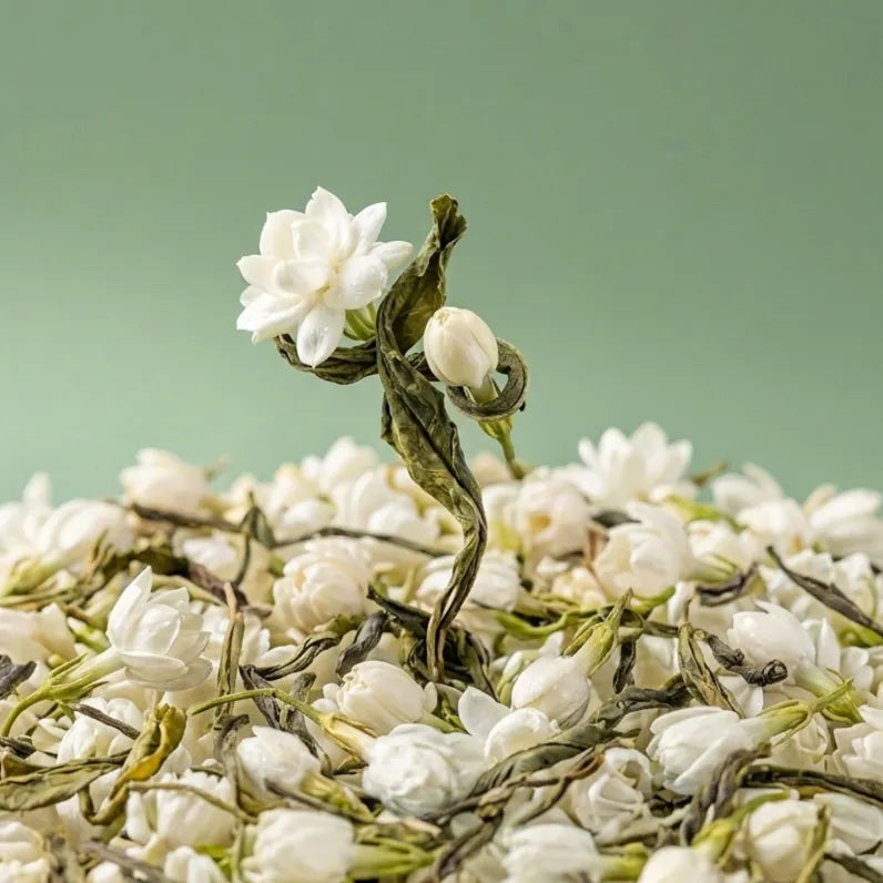 Jasmine