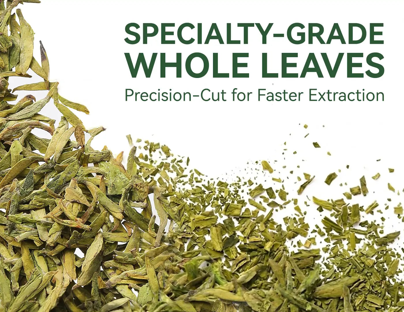 Longjing (Dragon Well) Green Tea | UFO Drip Tea