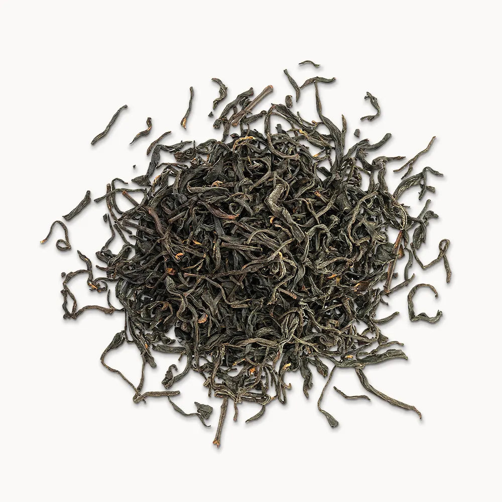 Timebai golden peony black tea loose leaves piled on a white background.
