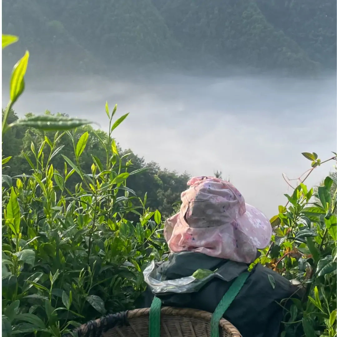 Yunnan & Fujian, China