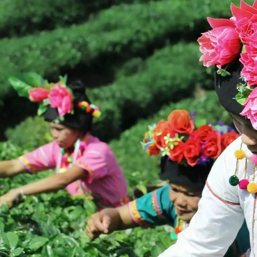 Fujian
