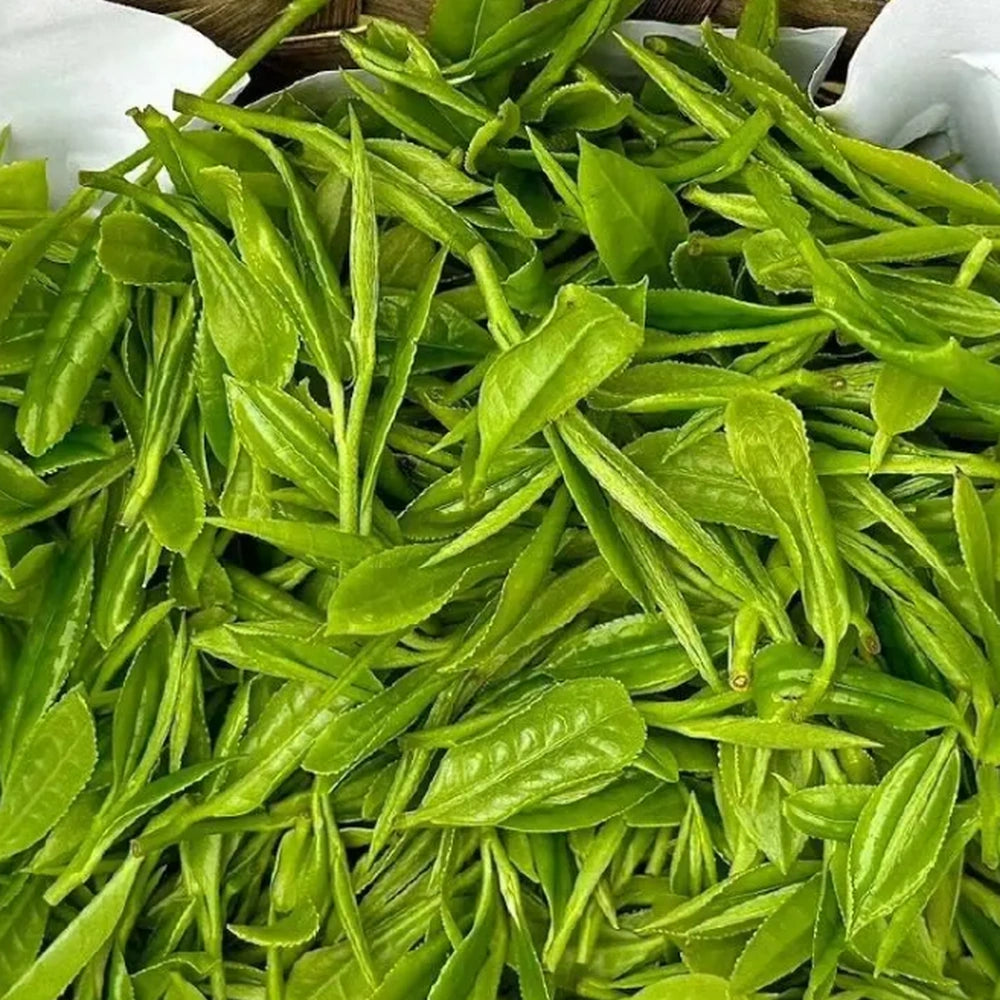 Jiangsu