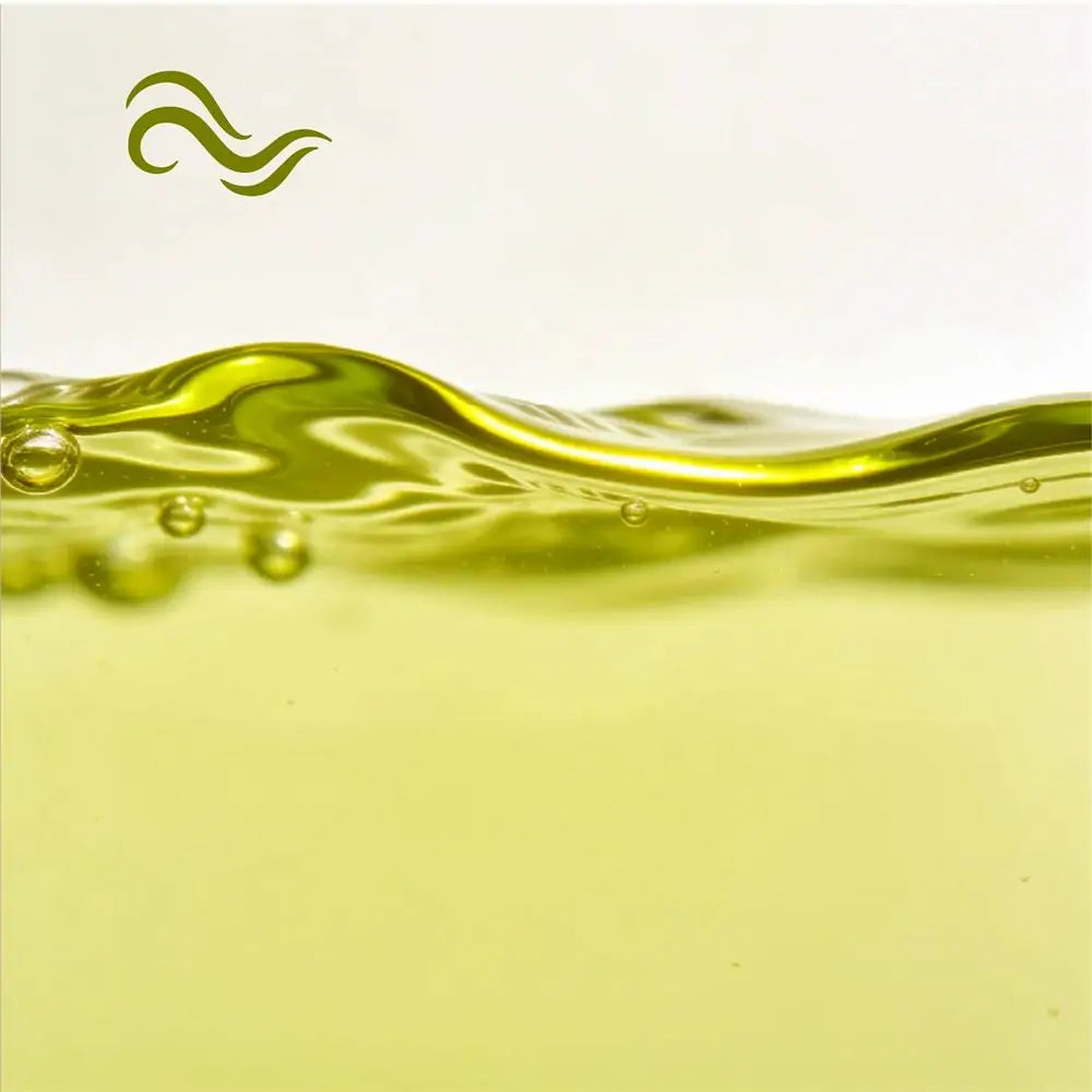 Tasting notes for TimeBai Drip-Disc Green Tea