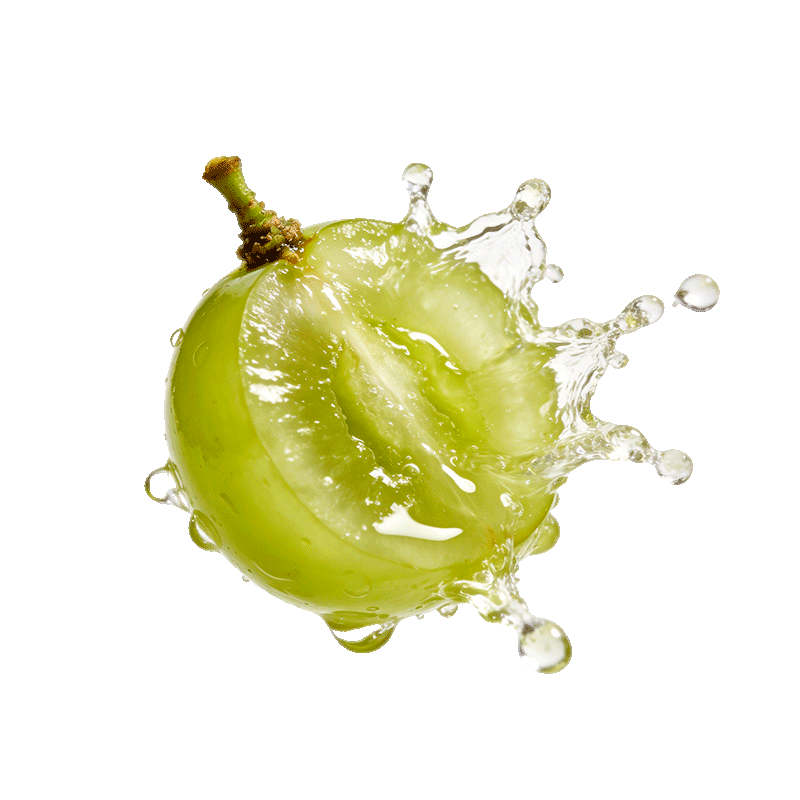 Green grape juice infusion process for TimeBai flavored tea